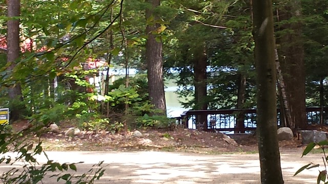 Lake view from yard