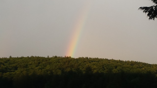 Rainbow over plummer pond
